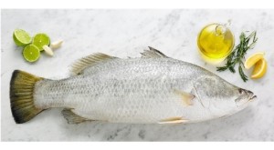 Sealord's Barramundi farm attains BAP sustainability certification