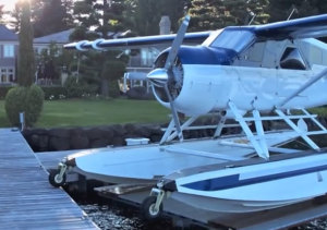 FRIDAY FLYING VIDEO: Beaver Ballad