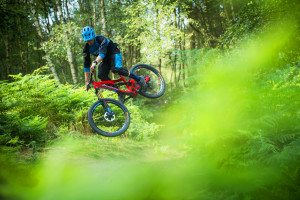Pivot Firebird Carbon