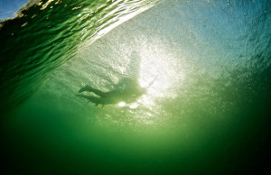 Image Doctor: Bondi Duck Dive
