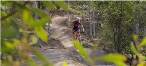 Brett Bellchambers Solo 24 Hour Racing