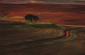 Photo Tip of the Week: Landscape Composition &ndash; Straight and Curved Lines