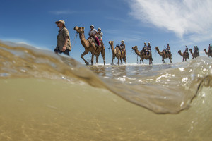 Behind the lens: Leading a camel to water