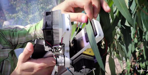 Can Native Species Withstand Heat Waves