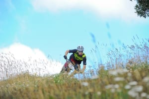 Bike Buller