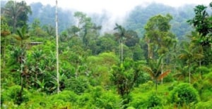 Fujifilm recognised for climate action