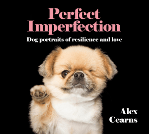 Perfect Imperfection by Alex Cearns