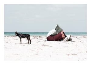 Finalists revealed in prestigious Leica Oskar Barnack Award 