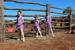 Ballet in the bush
