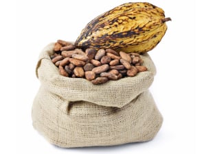 Nestle weighs in on slavery in the supply chain