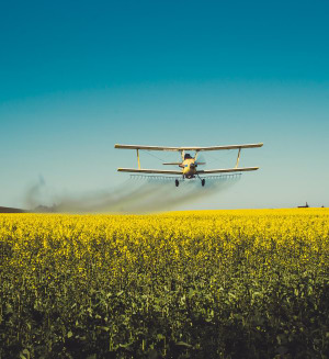 Weekend roadtrip: Shooting Laurel Hill forest and the Canola fields