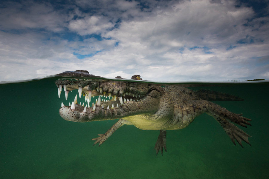 How to win Australia&rsquo;s Top Emerging Photographers 2016: advice from the judges
