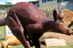 Weekend at Maleny