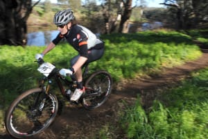 Evocities Round 6
