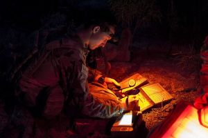 Joint Fires at Predator's Gallop