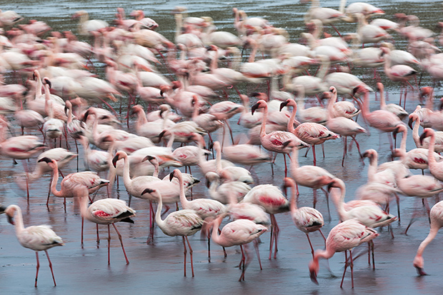 Photo Tip of the Week: How To Supercharge Your Creativity (Part One)