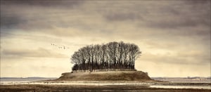 2017 Australia's Top Emerging Photographers: Landscape, Winner