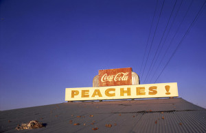 MCA's South of No North Exhibition