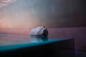 2016 CCP Salon opens this Thursday 
