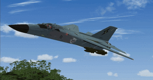 FLIGHT SIM REVIEW: David Tonks' top flight sims