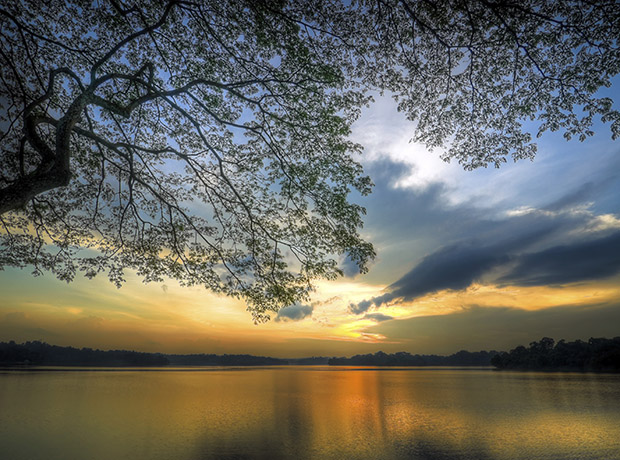 Photo Tip of the Week: Composition Essentials (Part II)
