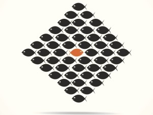 Disruption: Don't follow the pack, lead it