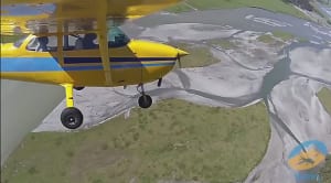FRIDAY FLYING VIDEO: Flyinn NZ