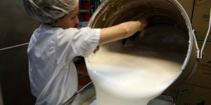 New $20m dairy bag line for Fonterra