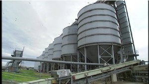 Major grain gain for foodbank