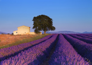 Photo Tip of the Week: Top Travel Tips (Part One) 