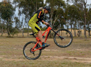 Wheel Lifts