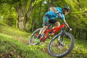 Merida Hardtail Overhaul