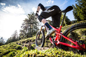 Pivot Mach 5.5 - First Look