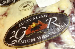 Gina Rinehart launches premium beef brand
