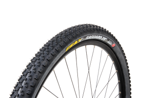 Geax Saguaro Tyre
