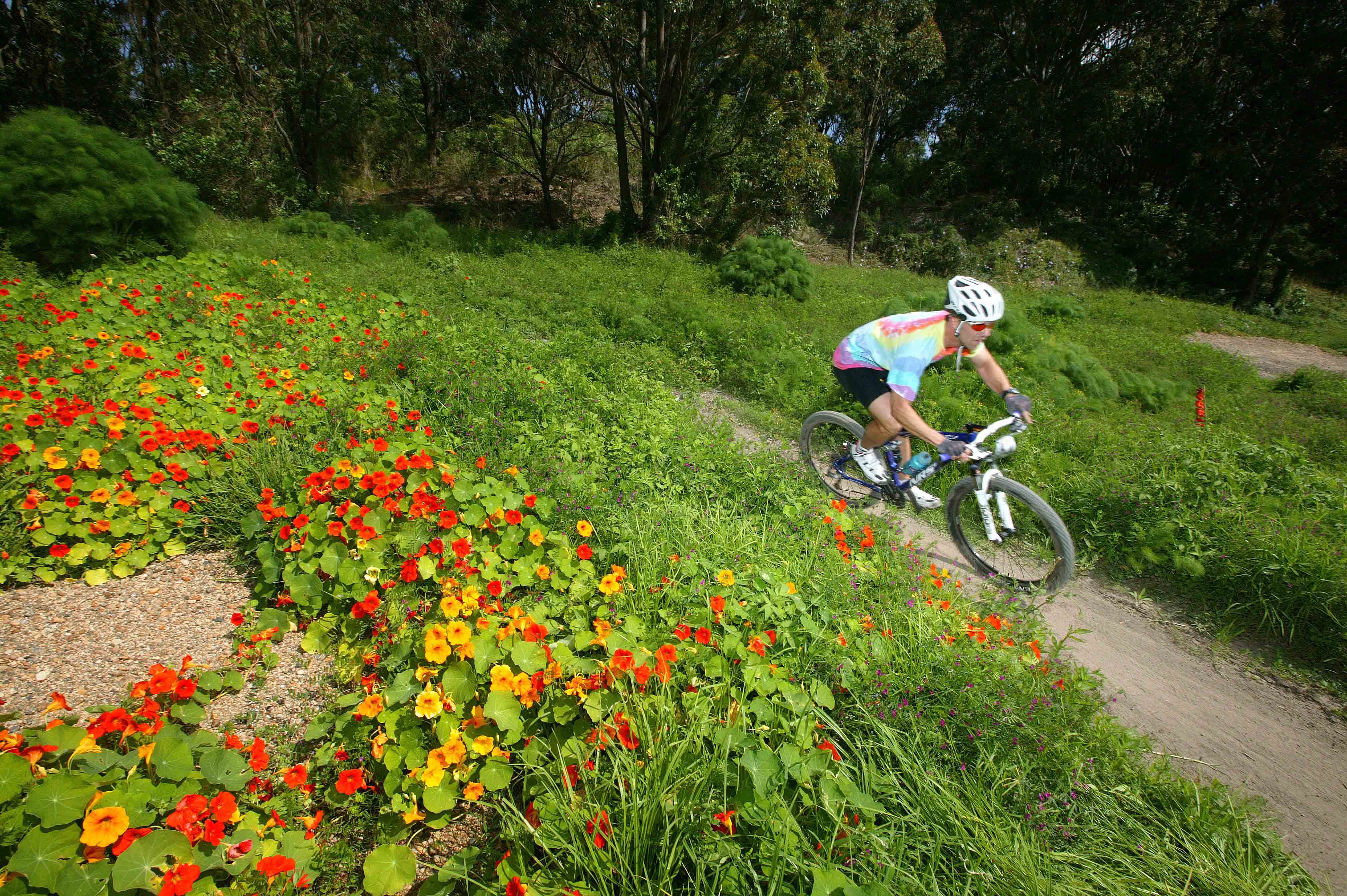 Fresh Events & Venues for Rocky Trail Racers!