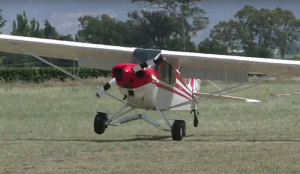 FRIDAY FLYING VIDEO: Healthy Bastards