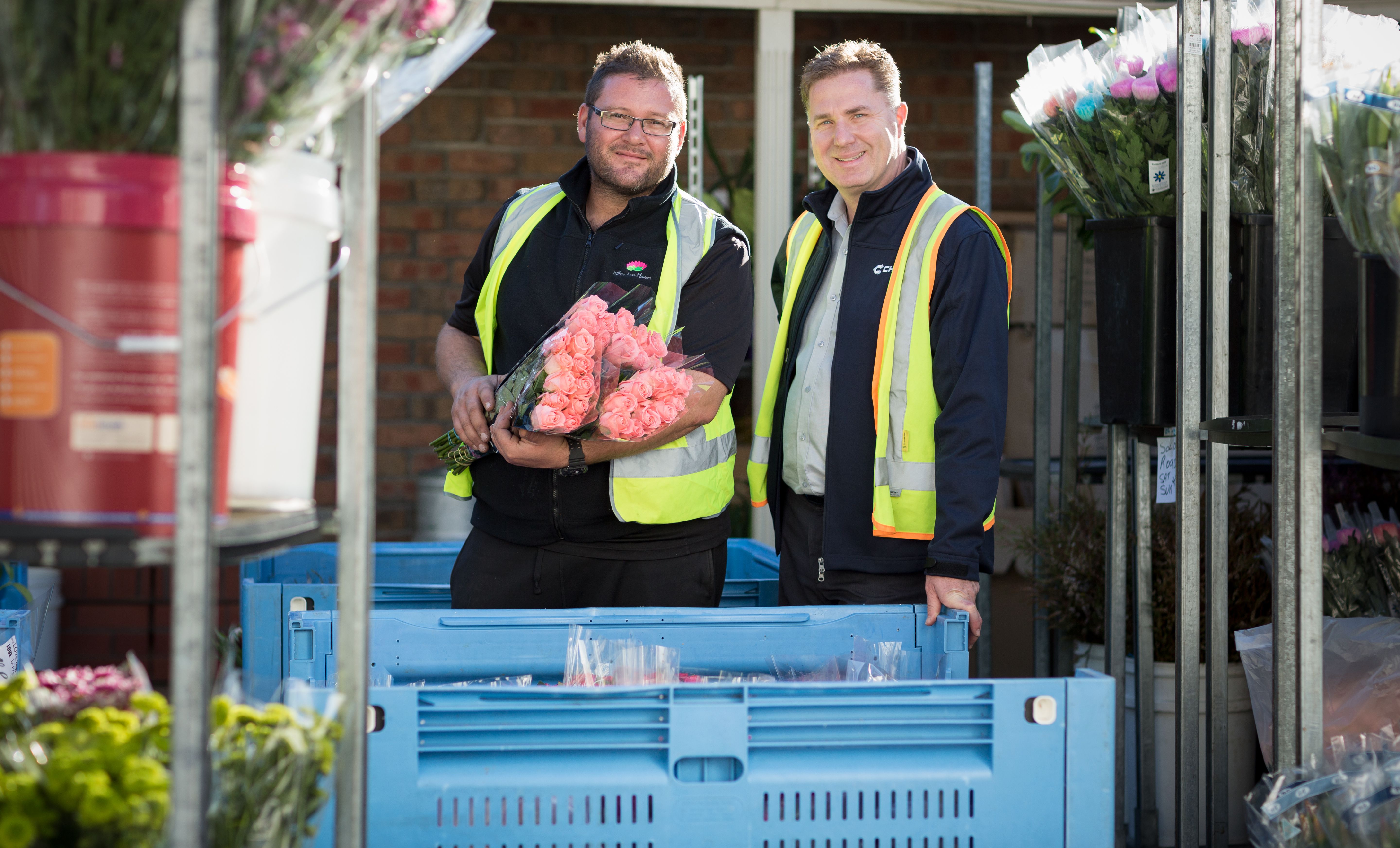 Foldable bins transition comes up roses