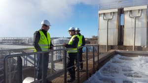 3 steps to saving in food and beverage manufacture