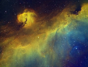 Behind the Lens: Star Gazing in Burwood