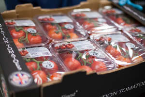 Tray sealing 'one-stop shop' launched by newly merged company