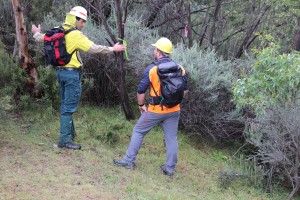 Lower Thredbo Valley Trail