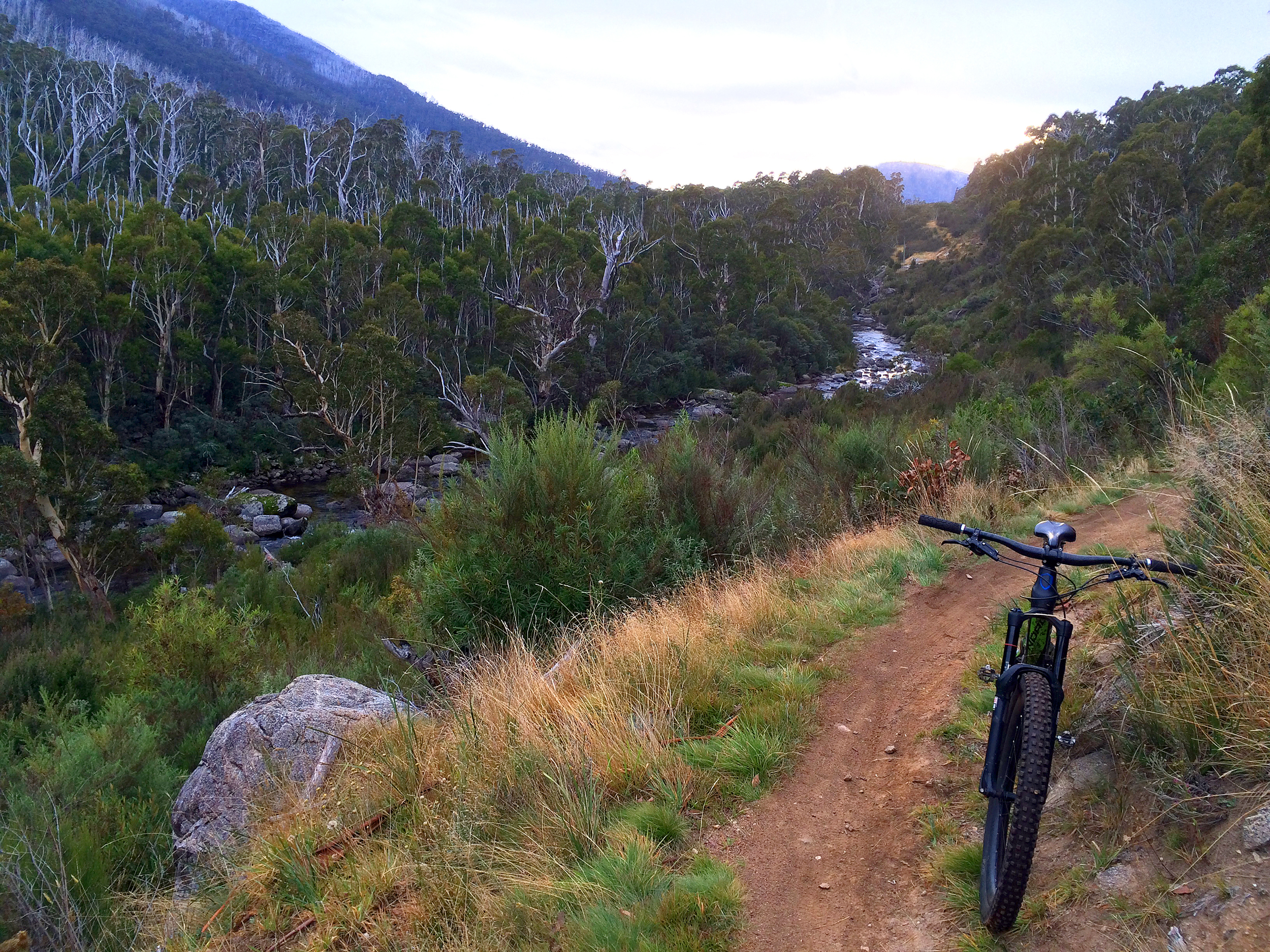 Thredbo Valley Trail - Open for Summer