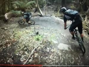 Atlas Trail - Blue Derby