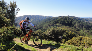 Interview: Brent &lsquo;Huggie&rsquo; Burrows from Avanti Bicycles