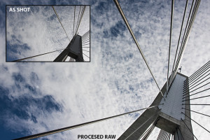  Photo tip of the week: JPEG or Raw?