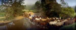 Ken Duncan Photo Competition