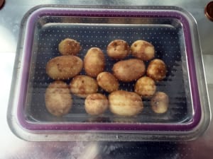 Food film offers shelf life boost 
