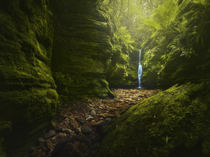 Behind the lens: Dylan Fox shoots Secret Falls