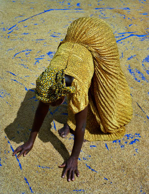Shortlist announced  for the Syngenta Photography Award